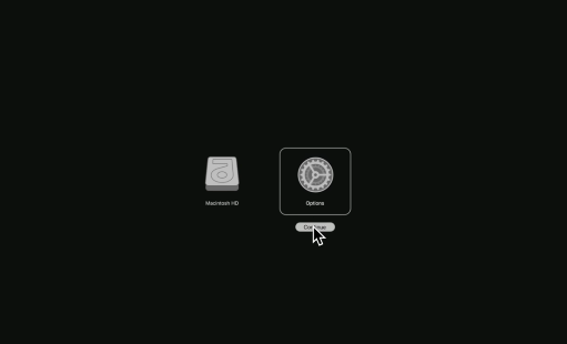 macOS startup options screen with Options selected